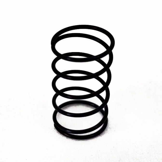 Seimitsu LS-55 replacement spring